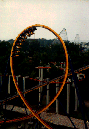 Mantis