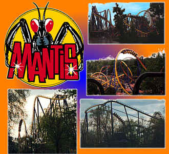 Mantis