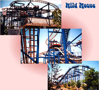 Wild Mouse