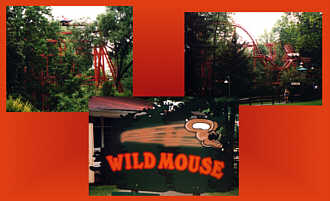 Wild Mouse