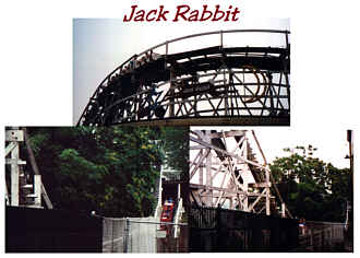Jack Rabbit