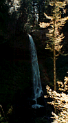 Silver Falls State Park